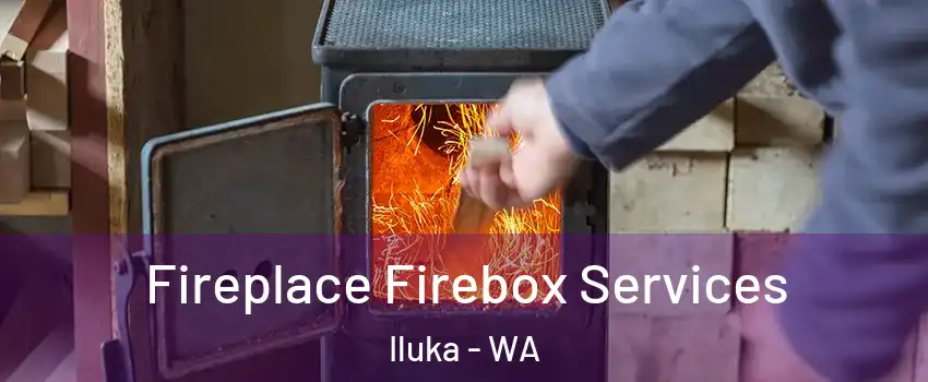 Fireplace Firebox Services Iluka - WA