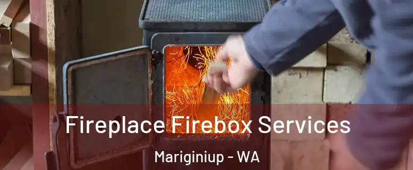 Fireplace Firebox Services Mariginiup - WA