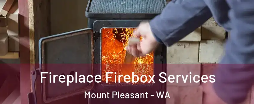 Fireplace Firebox Services Mount Pleasant - WA