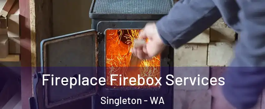 Fireplace Firebox Services Singleton - WA