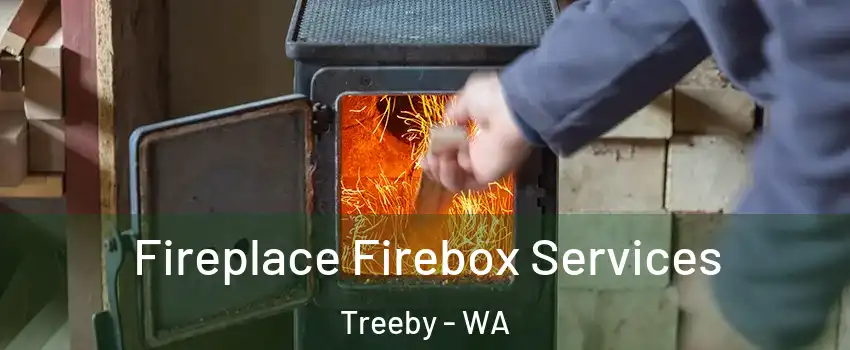 Fireplace Firebox Services Treeby - WA