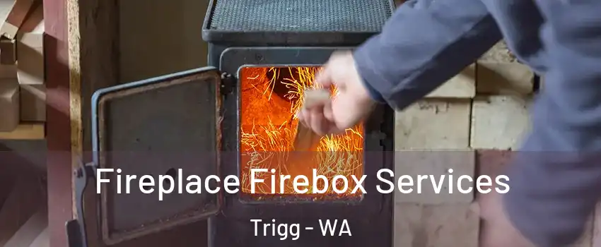 Fireplace Firebox Services Trigg - WA