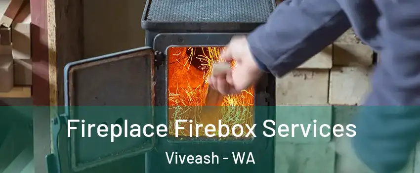  Fireplace Firebox Services Viveash - WA