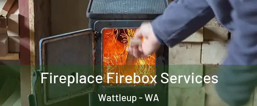Fireplace Firebox Services Wattleup - WA