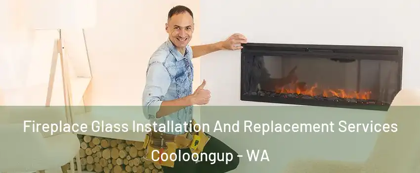 Fireplace Glass Installation And Replacement Services Cooloongup - WA