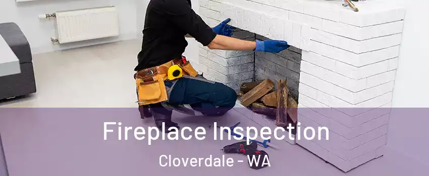Fireplace Inspection Cloverdale - WA