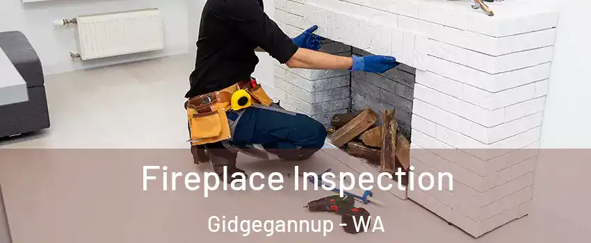 Fireplace Inspection Gidgegannup - WA