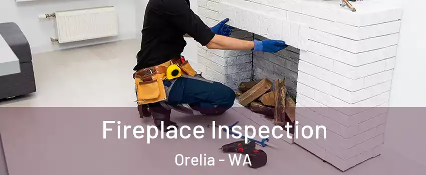 Fireplace Inspection Orelia - WA