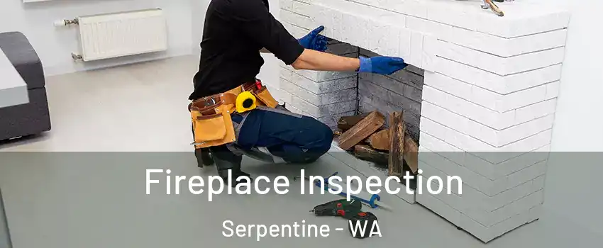 Fireplace Inspection Serpentine - WA