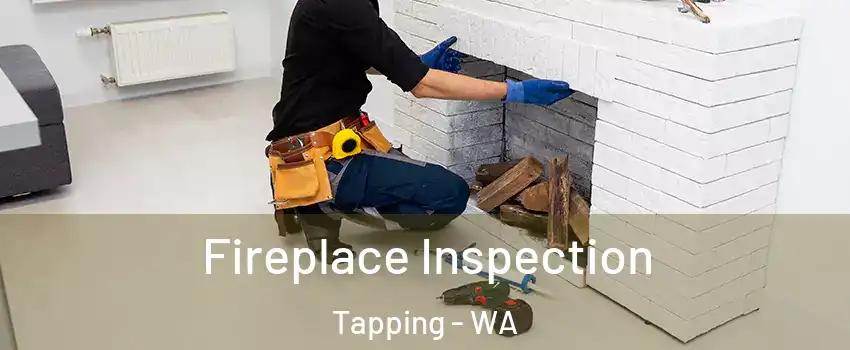 Fireplace Inspection Tapping - WA