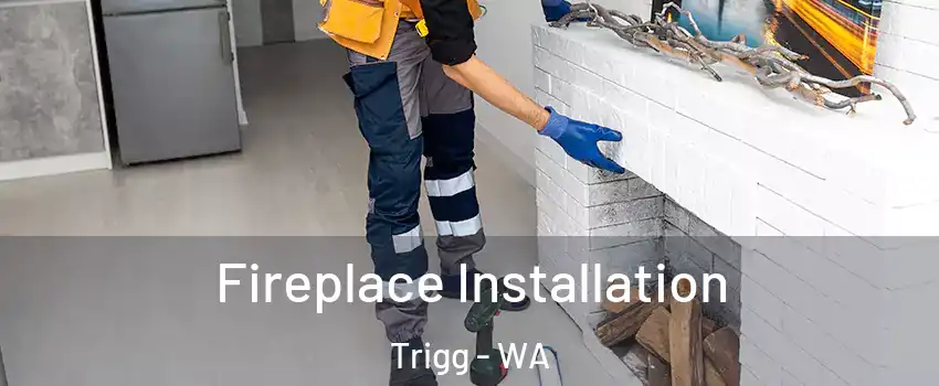 Fireplace Installation Trigg - WA