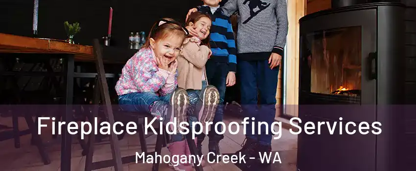 Fireplace Kidsproofing Services Mahogany Creek - WA
