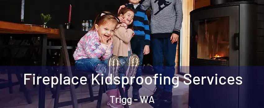 Fireplace Kidsproofing Services Trigg - WA