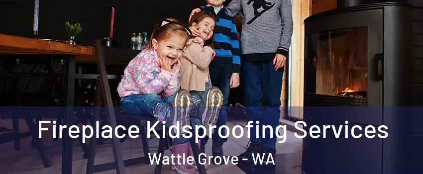 Fireplace Kidsproofing Services Wattle Grove - WA