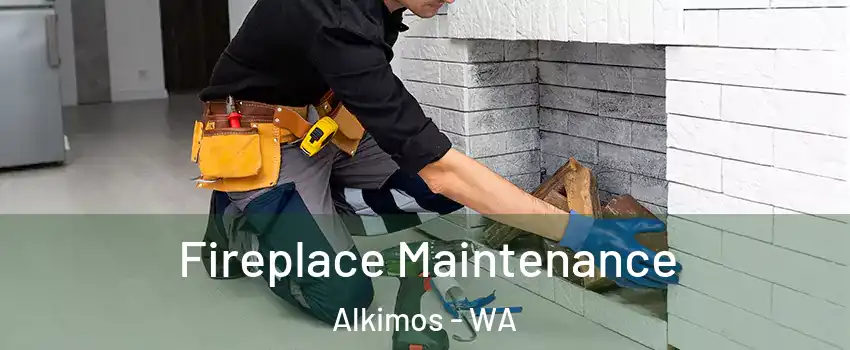 Fireplace Maintenance Alkimos - WA