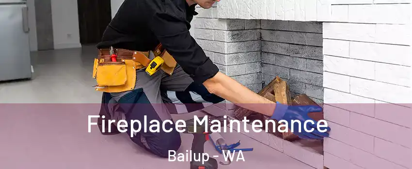Fireplace Maintenance Bailup - WA