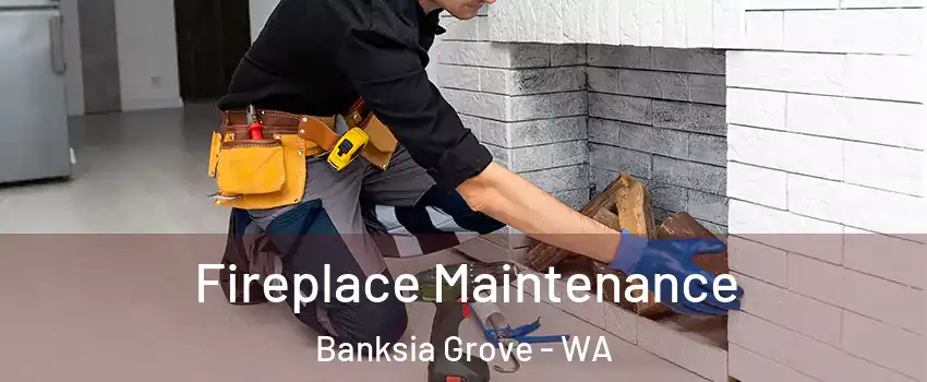 Fireplace Maintenance Banksia Grove - WA
