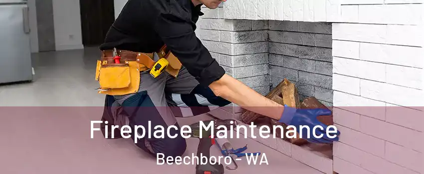 Fireplace Maintenance Beechboro - WA
