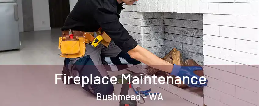 Fireplace Maintenance Bushmead - WA