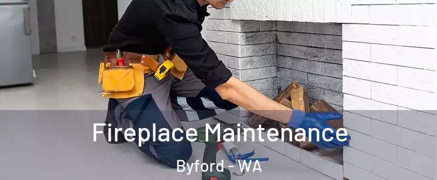 Fireplace Maintenance Byford - WA