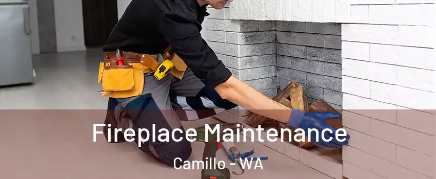 Fireplace Maintenance Camillo - WA