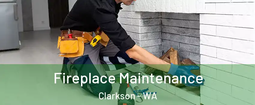 Fireplace Maintenance Clarkson - WA