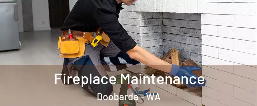 Fireplace Maintenance Doobarda - WA