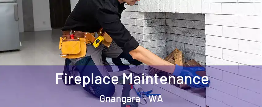 Fireplace Maintenance Gnangara - WA