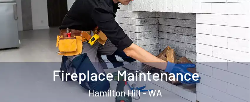 Fireplace Maintenance Hamilton Hill - WA