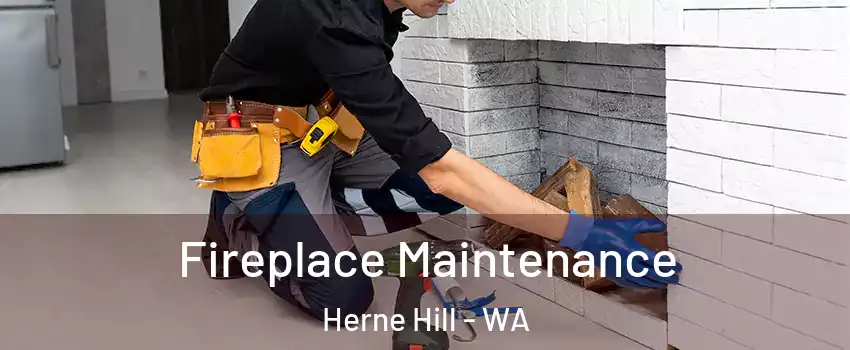 Fireplace Maintenance Herne Hill - WA