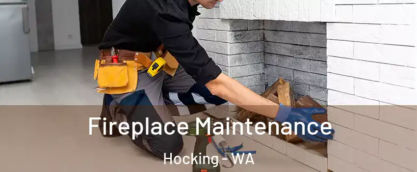 Fireplace Maintenance Hocking - WA