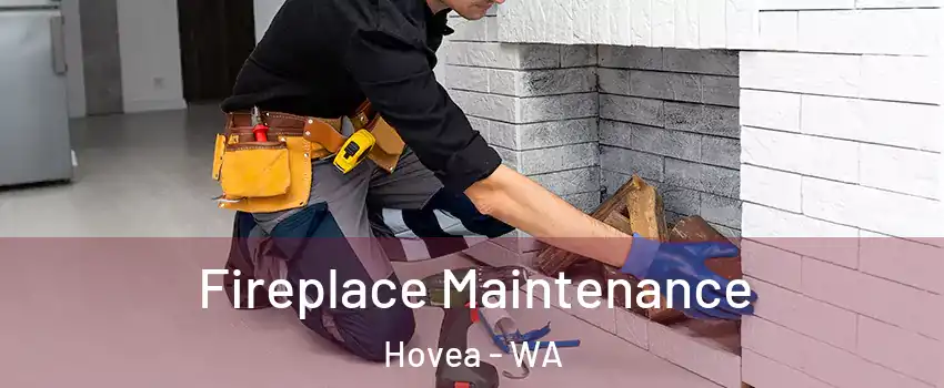 Fireplace Maintenance Hovea - WA