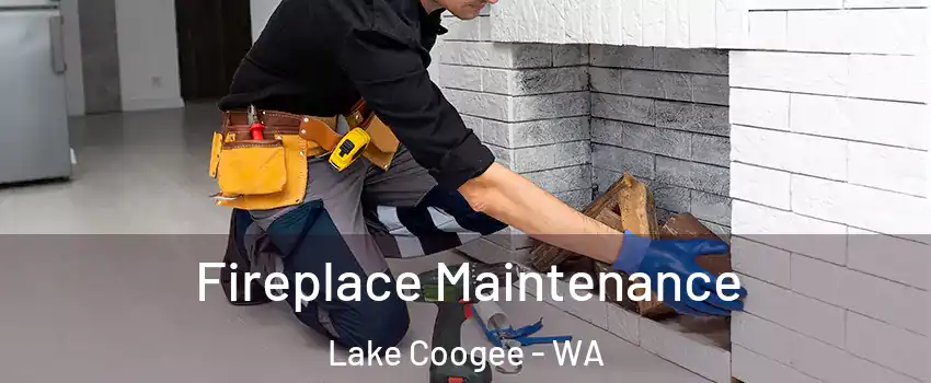 Fireplace Maintenance Lake Coogee - WA