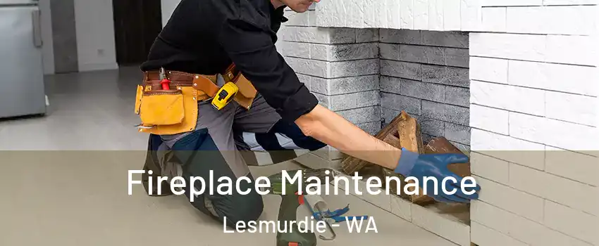 Fireplace Maintenance Lesmurdie - WA