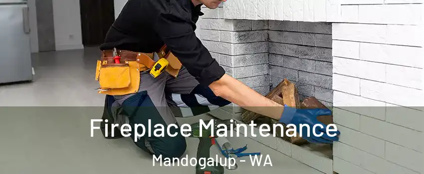 Fireplace Maintenance Mandogalup - WA