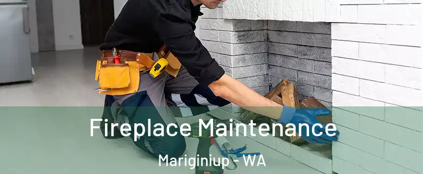 Fireplace Maintenance Mariginiup - WA