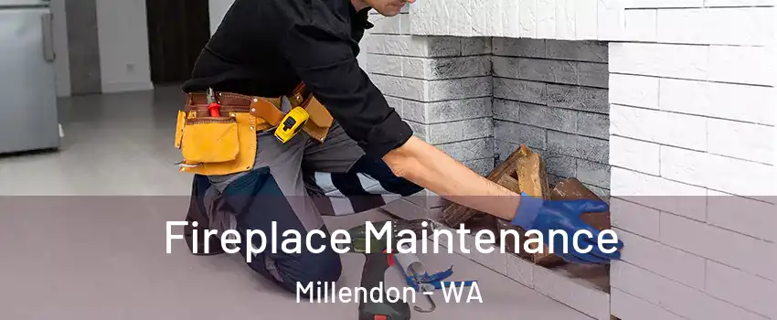Fireplace Maintenance Millendon - WA