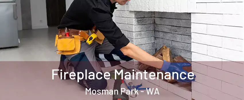 Fireplace Maintenance Mosman Park - WA