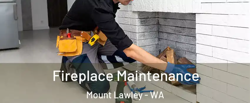 Fireplace Maintenance Mount Lawley - WA