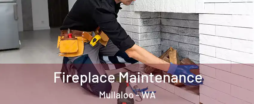 Fireplace Maintenance Mullaloo - WA