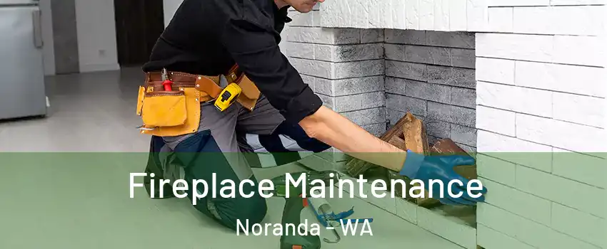 Fireplace Maintenance Noranda - WA