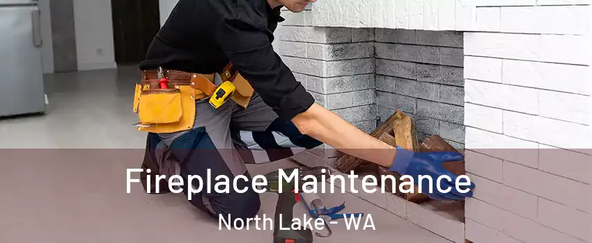 Fireplace Maintenance North Lake - WA