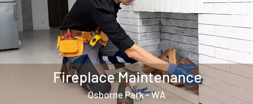 Fireplace Maintenance Osborne Park - WA