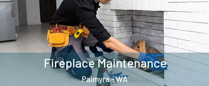 Fireplace Maintenance Palmyra - WA
