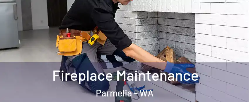 Fireplace Maintenance Parmelia - WA