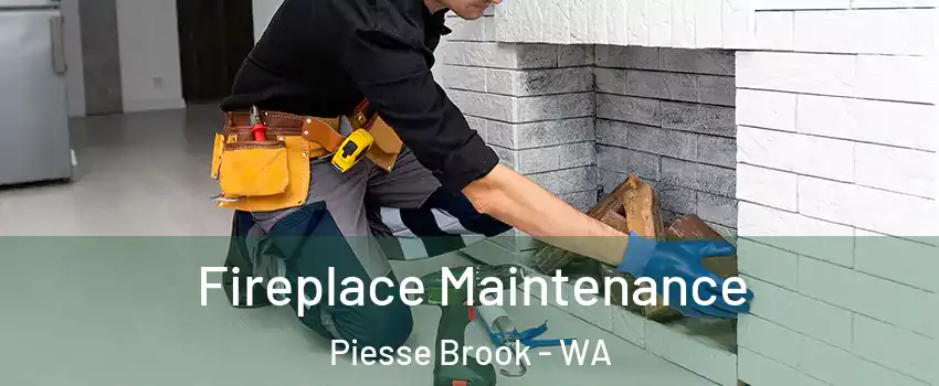 Fireplace Maintenance Piesse Brook - WA