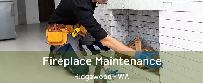 Fireplace Maintenance Ridgewood - WA