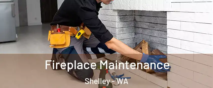 Fireplace Maintenance Shelley - WA