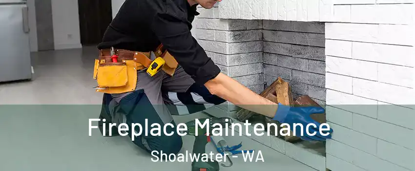 Fireplace Maintenance Shoalwater - WA