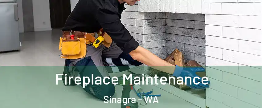 Fireplace Maintenance Sinagra - WA